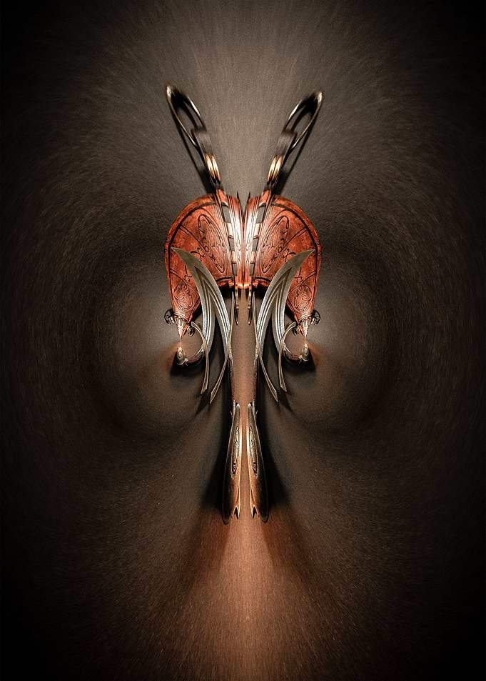 DRAGON FLY