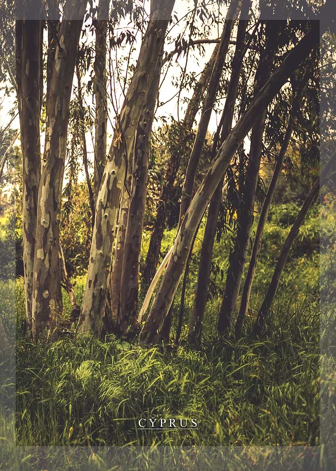 Cyprus Nature