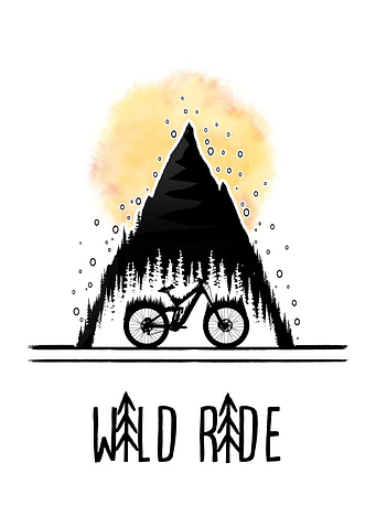 Wild Ride