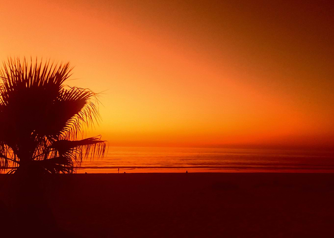 Orange Sunset