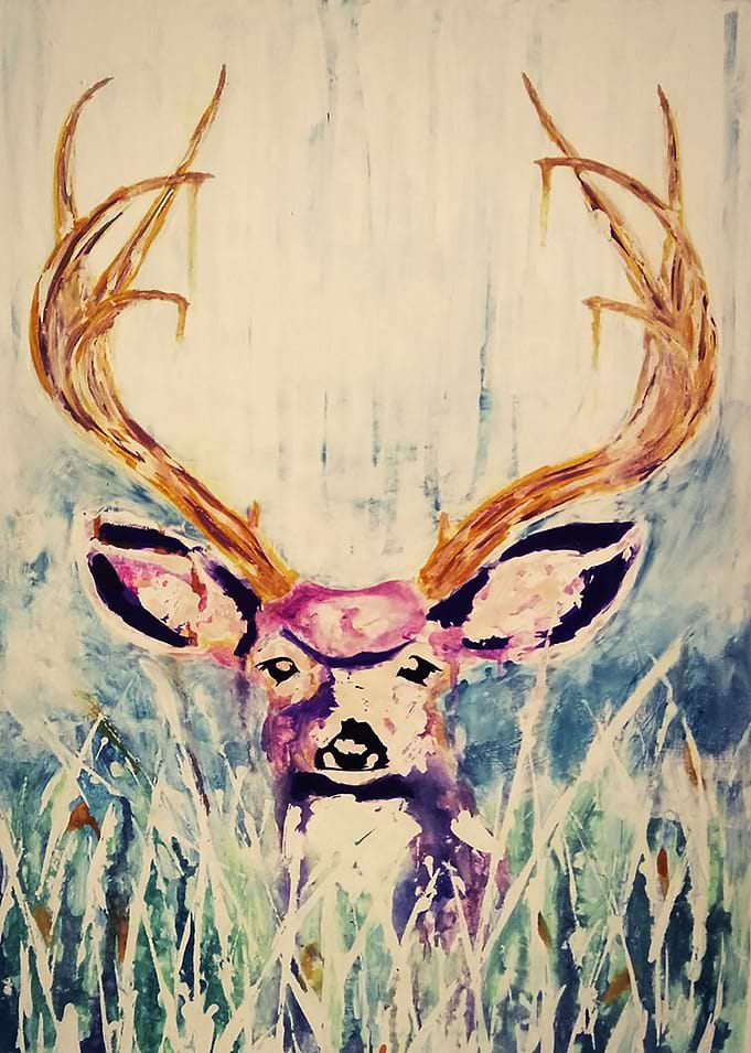 Deer