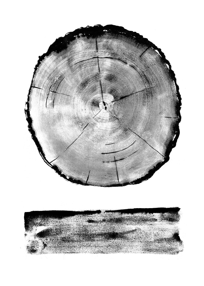 Life of tree