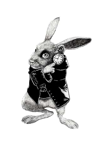 The White Rabbit drawing