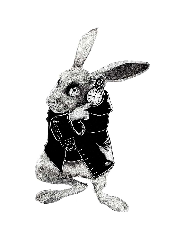 The White Rabbit drawing