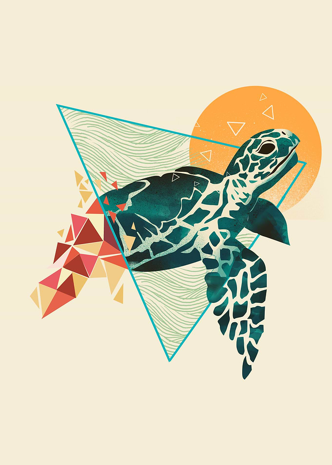 Geometric Turtle