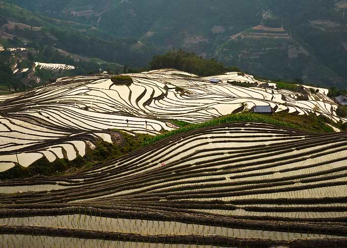 Watered terraces