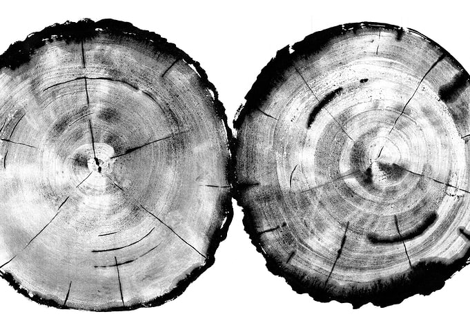 tory of trees