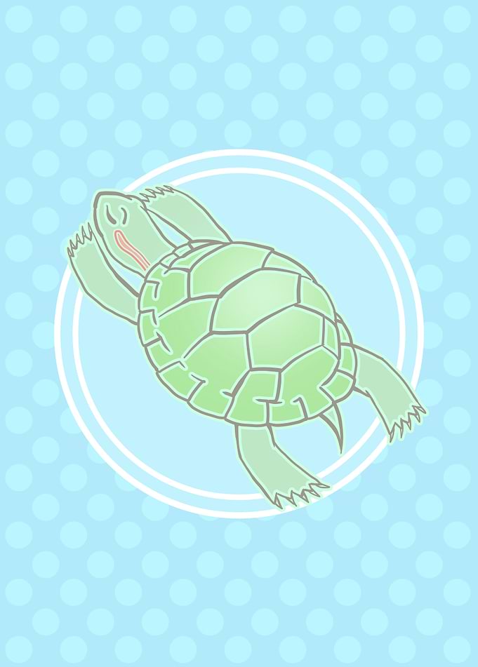 Turtle Basking