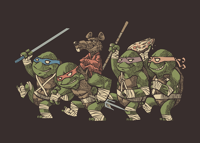 Where the wild turtles are