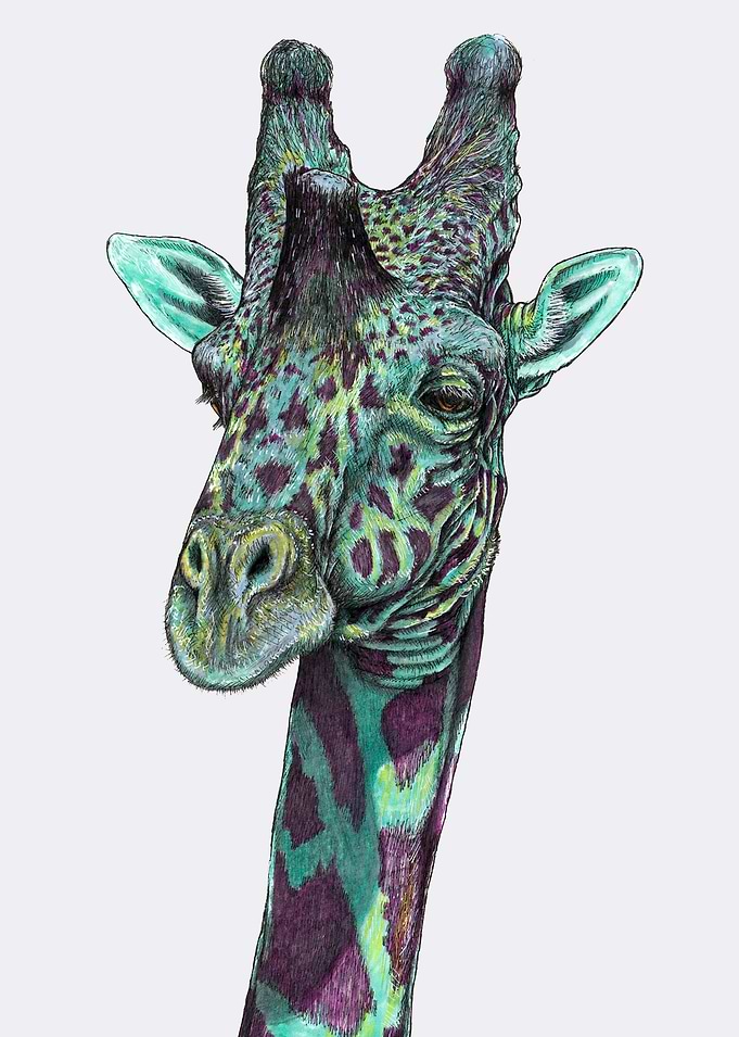 VIBEY GIRAFFE