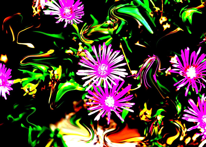 starlight