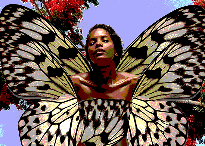 Butterfly Girls Dreams1