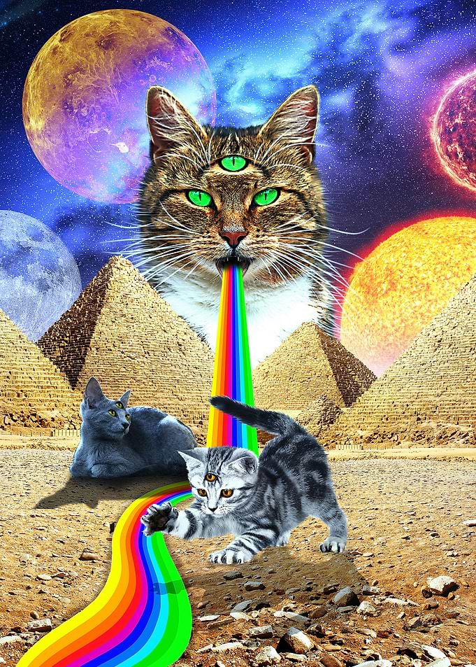 Three-Eyed Kittens