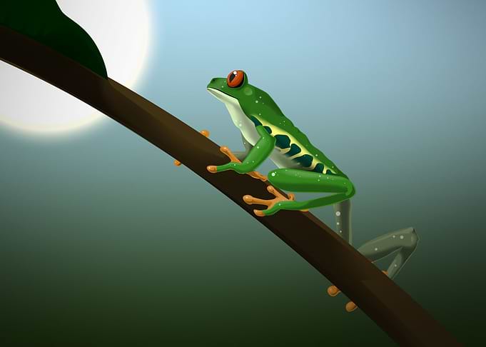 rana arboricora