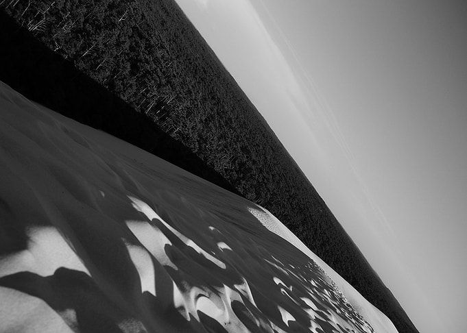Sunny beach 003