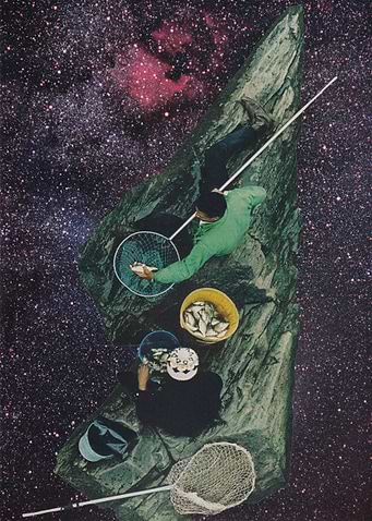 Starfish [collage]