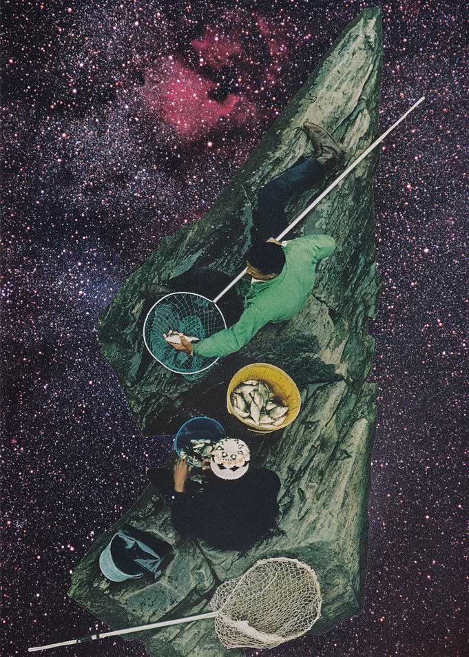 Starfish [collage]