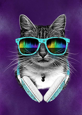 Cute Cool Cat with glasses