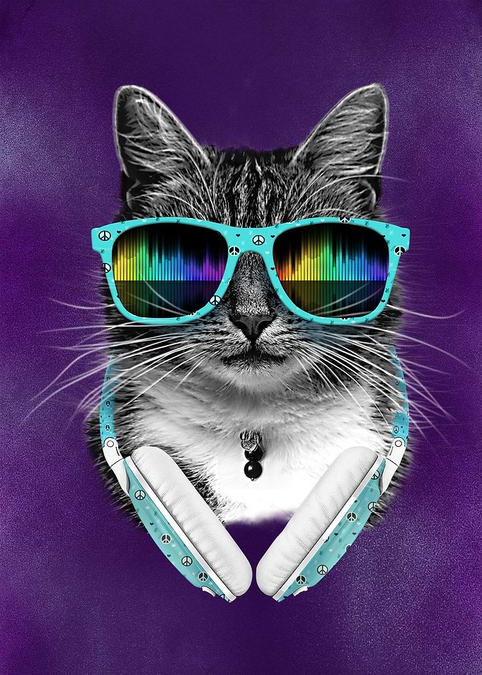 Cute Cool Cat with glasses
