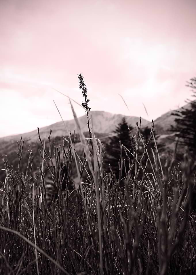 Mountain 004