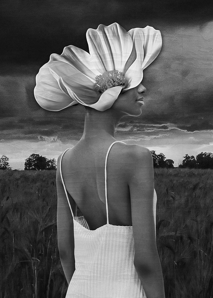 Flower Fairy