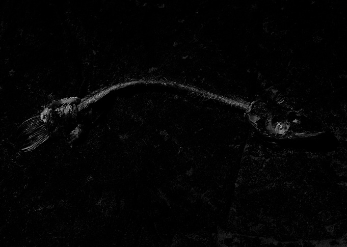 Voyager#01