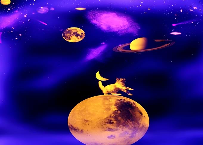 Galactic Cat