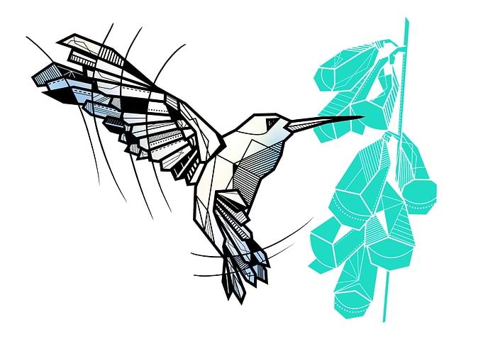 Geometric hummingbird