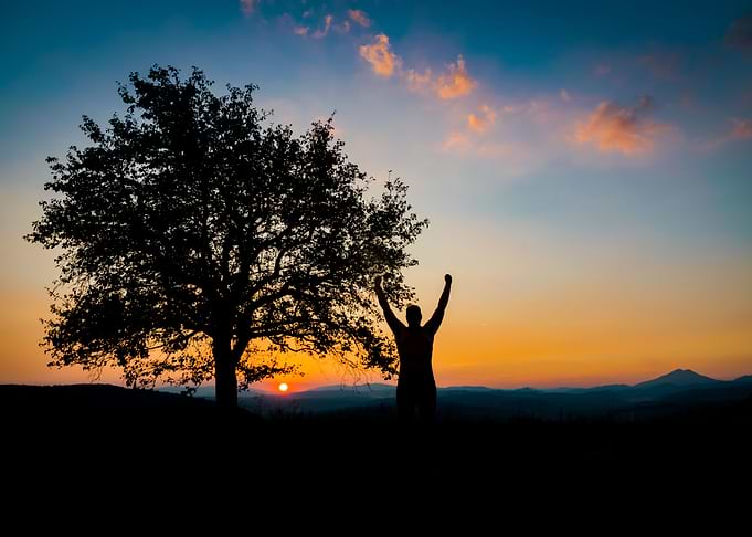 Joyful silhouette sunset
