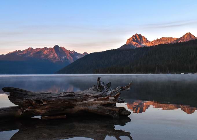 Log on lake