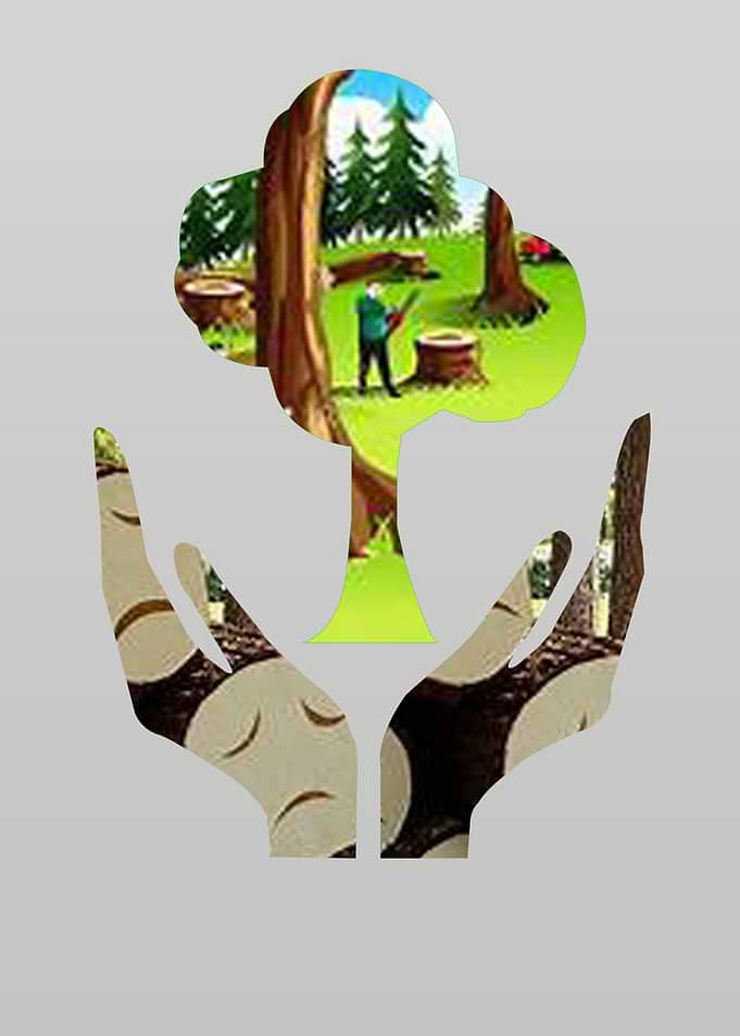 save the tree