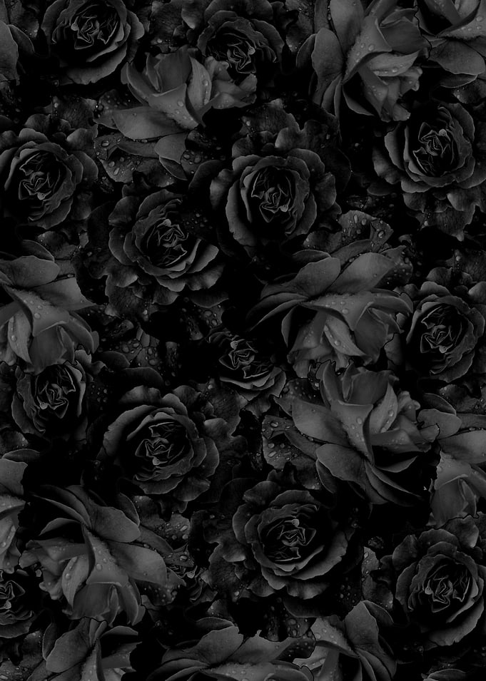 flowers 31