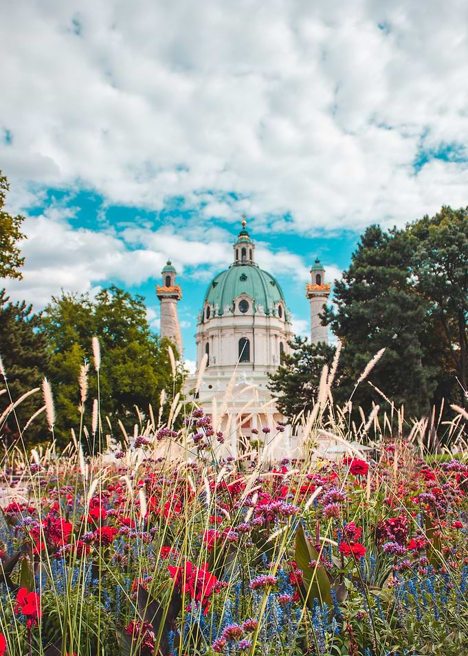 Flower and the church Wien