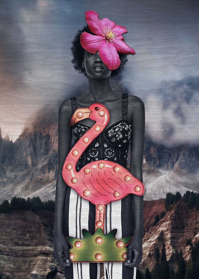 Flamingo Fairy