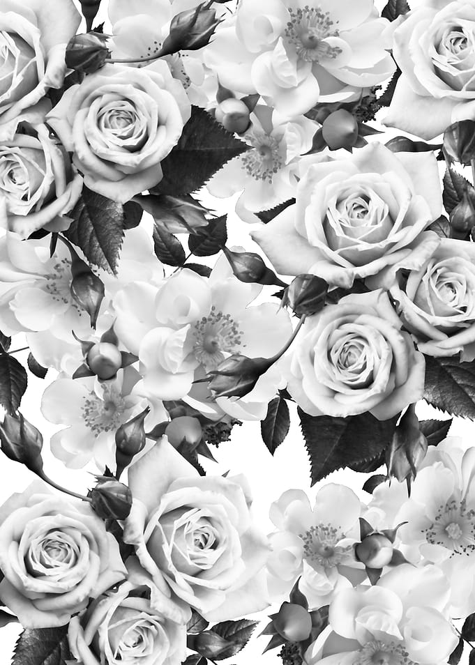flowers 71