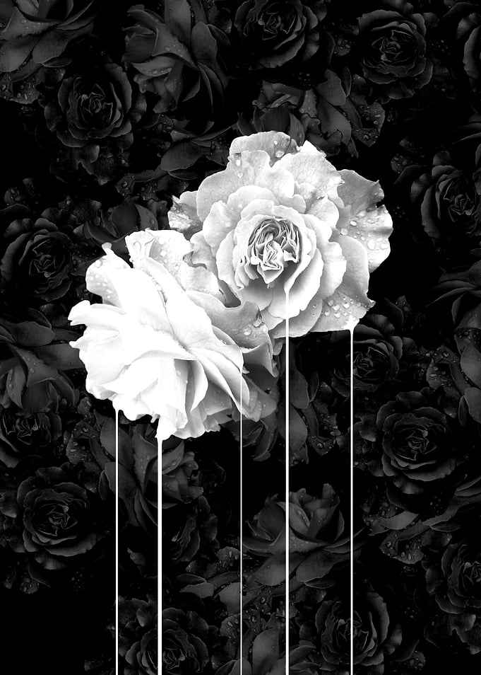 flowers 77