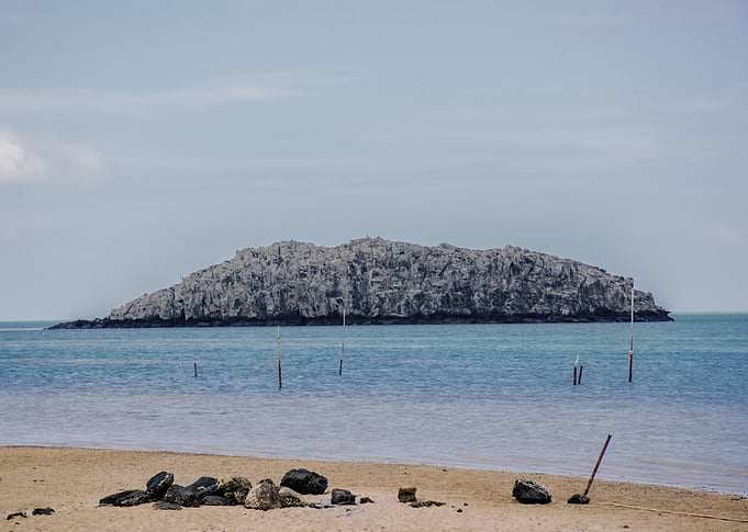 The Island