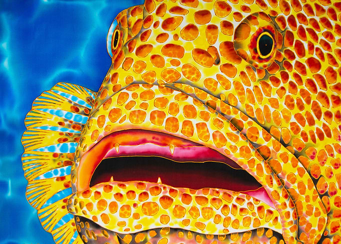 Tiger Grouper