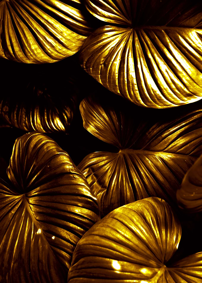 bold gold
