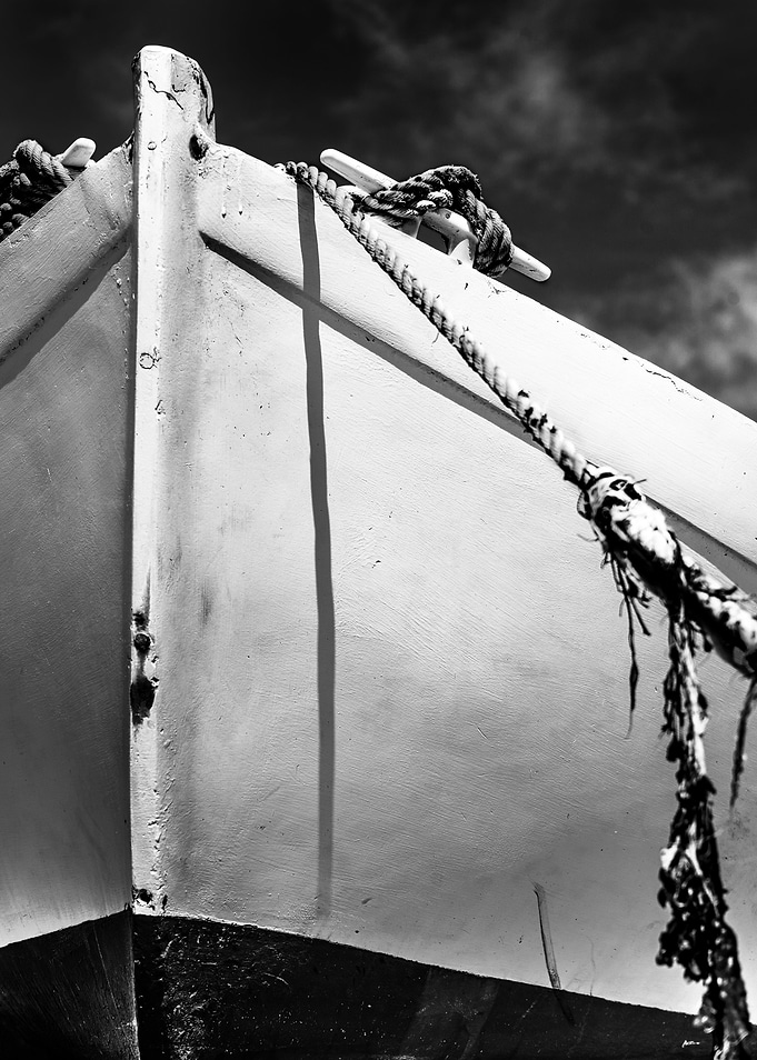 The Stranded Bark