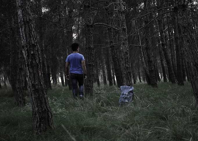 Out of the woods.