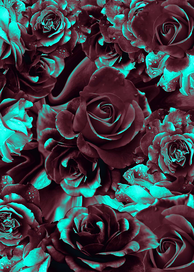 flowers 81