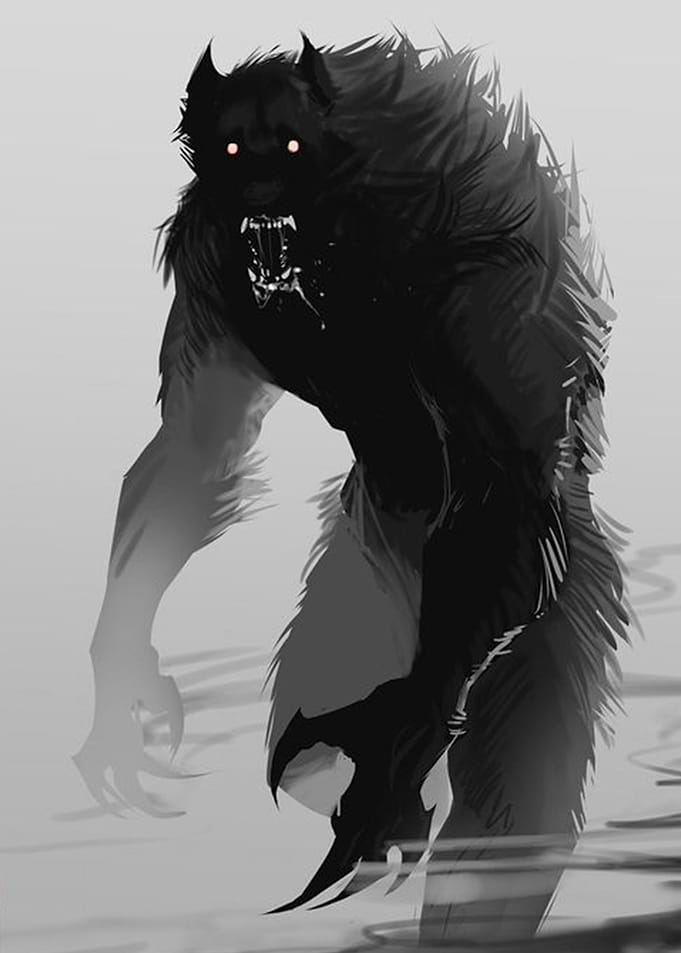 Black And White Wolve