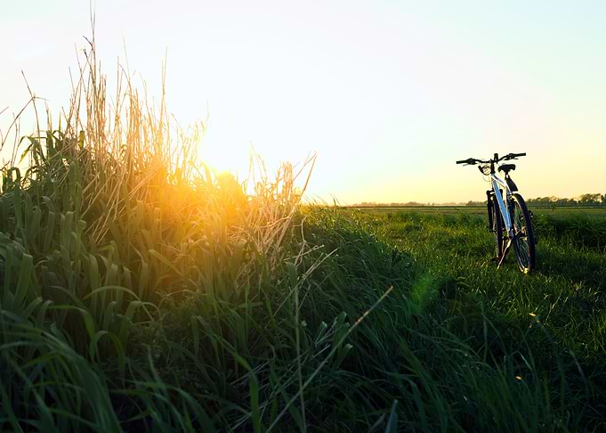 Morning Ride