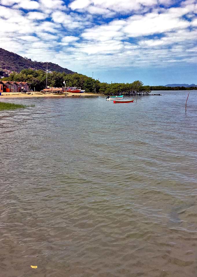 Agua Brasil-3