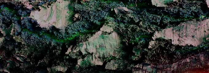 Abstract tree