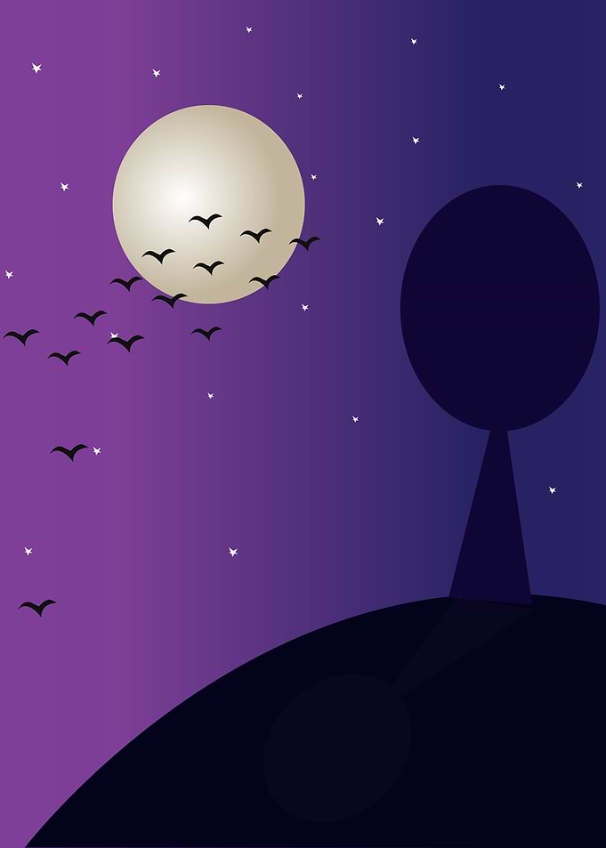 moonlight night