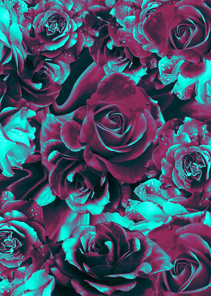 flowers 82