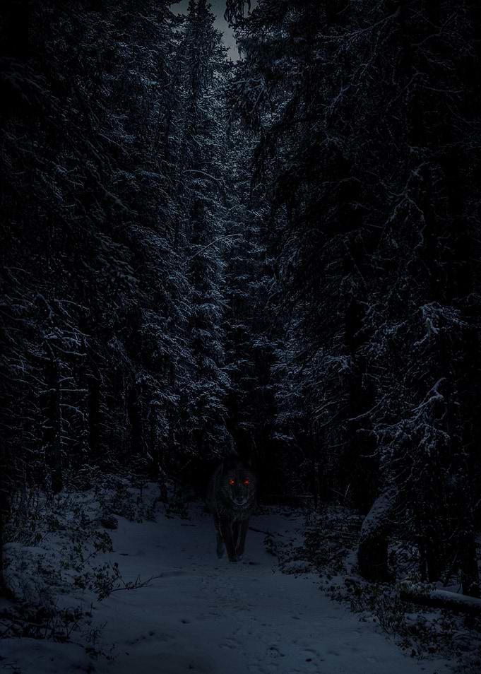 Ware Wolf Glowing Eyes