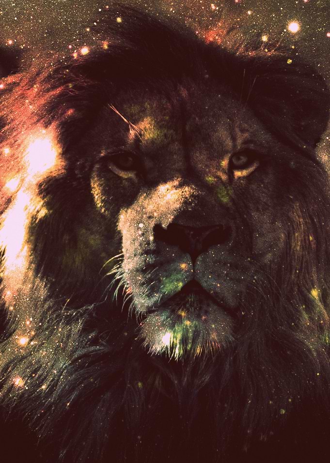 Leo Lion Dark Warmth